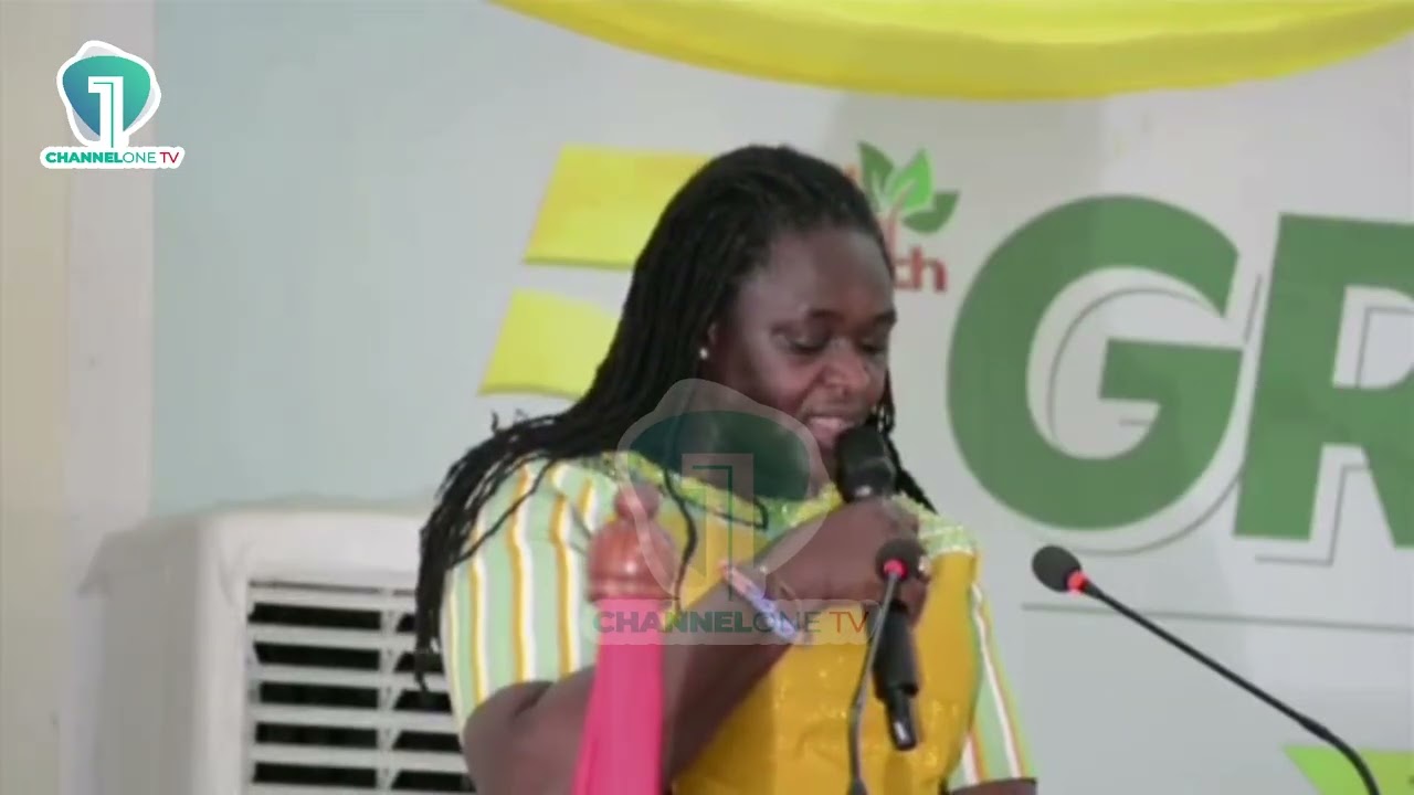 EPA Warns: Ghana&rsquo;s Environmental Crisis Now Affecting Neighboring Countries