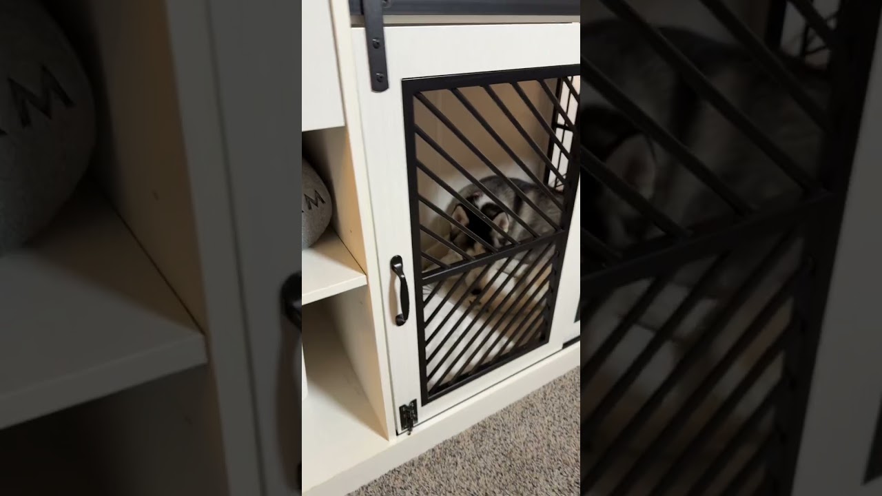 Double dog crate furniture- dog crate furniture- double dog crate furniture #tiktokshopcreatorpicks