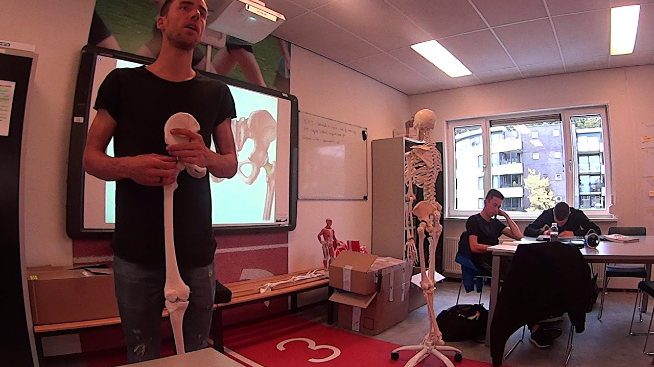Anatomie sportmassage onderste extremiteit
