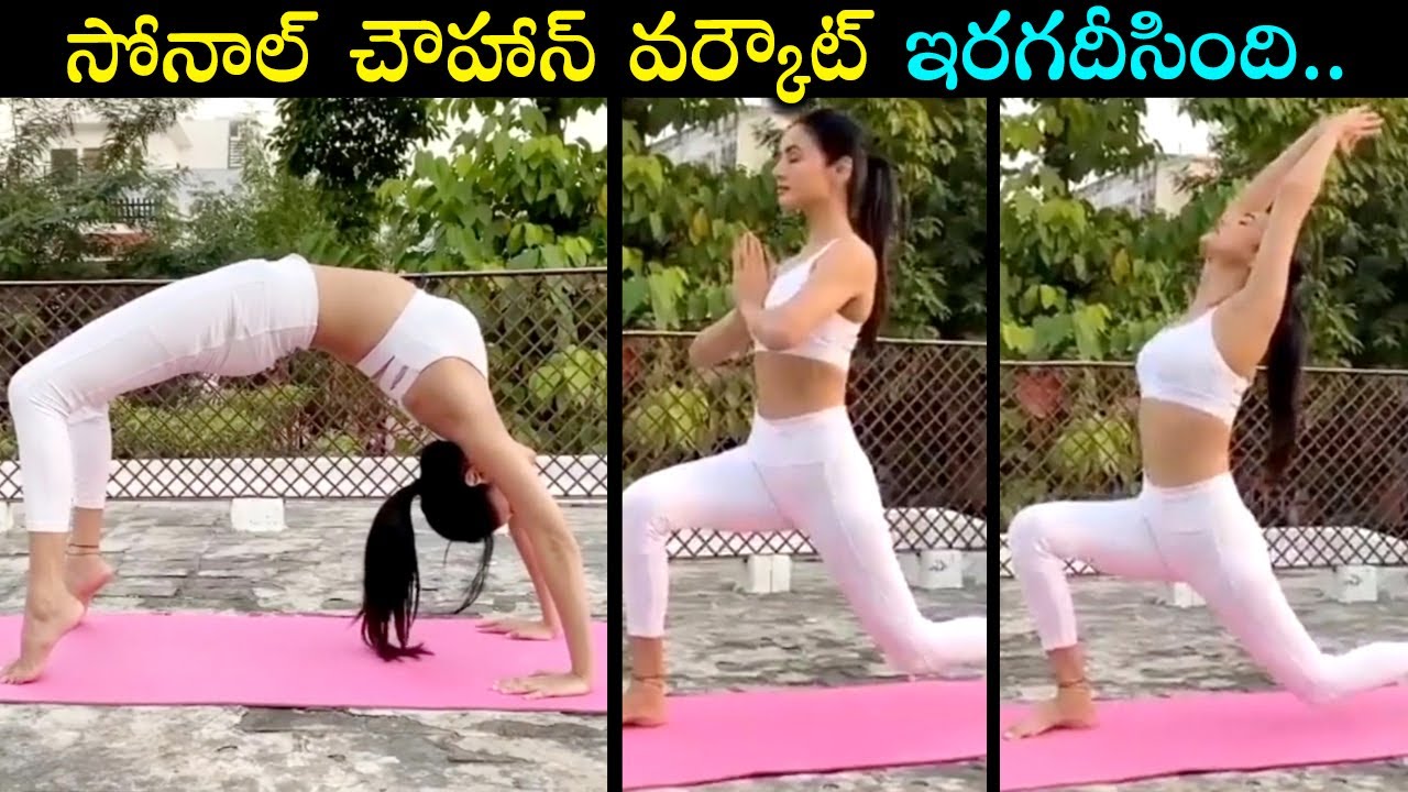 Actress Sonal Chauhan Mind Blowing Workout Video || Sonal Chauhan Yoga Videos || Silver Screen