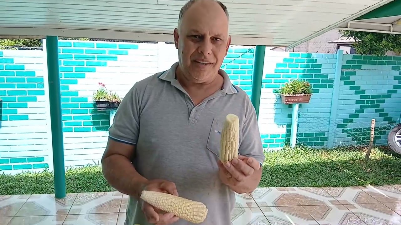 Uma gostosura de milho