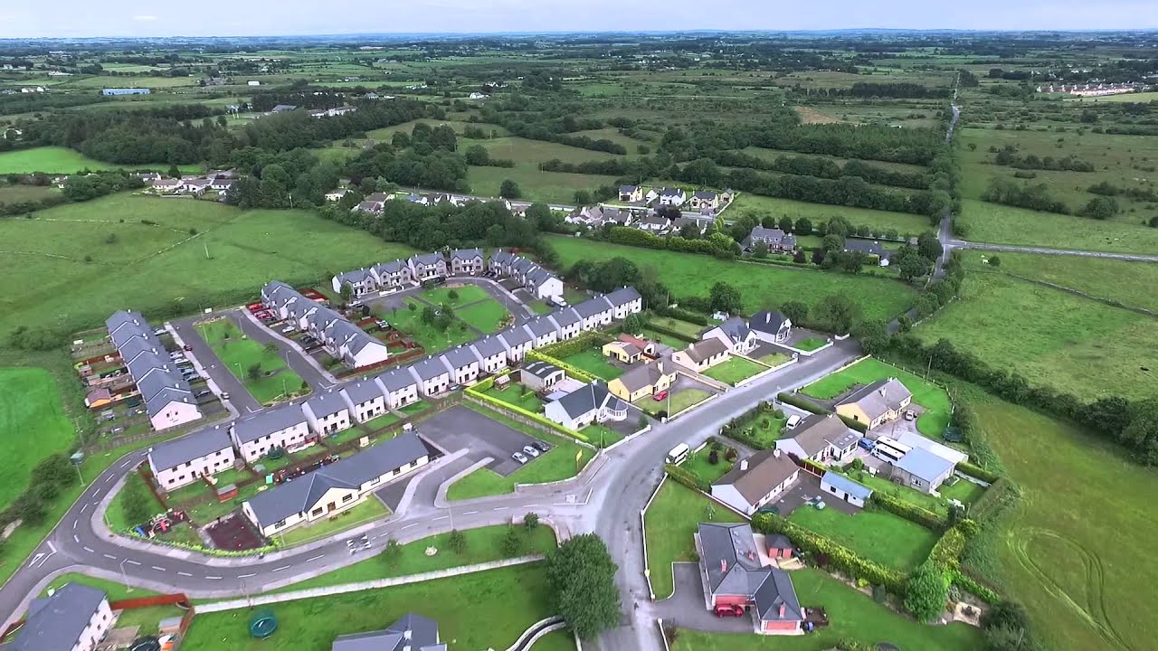 Claremorris, Ireland bird fly
