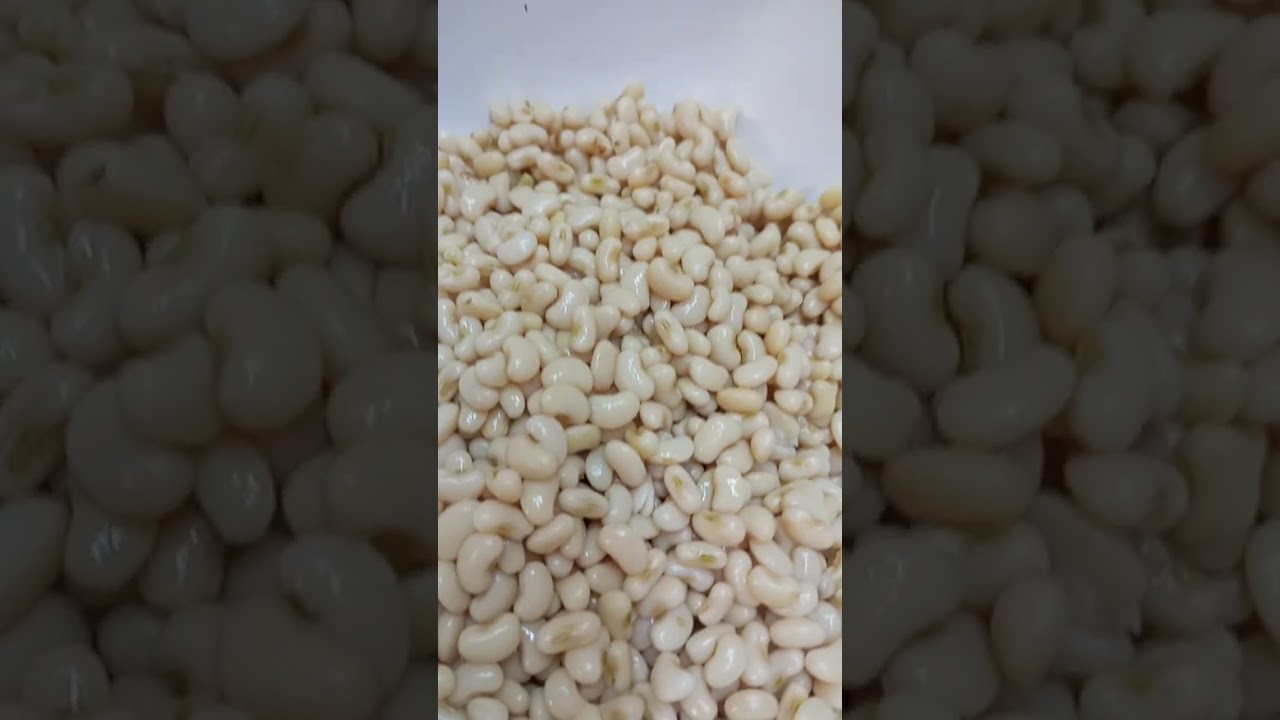 ٩ فبراير ٢٠٢٦