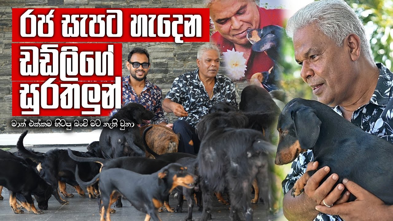 බිස්නස් එකේ අමාරුම කාලේ බංචි මගේ ළඟ හිටියා - ඩඩ්ලි සිරිසේන | Pet Talk