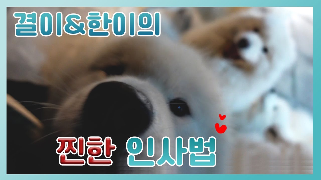 🔥뜨겁다 못해 타올랐습니다.. 아주 활활🔥 오랜만에 만나는 결이와 한이의 찐 반응💕