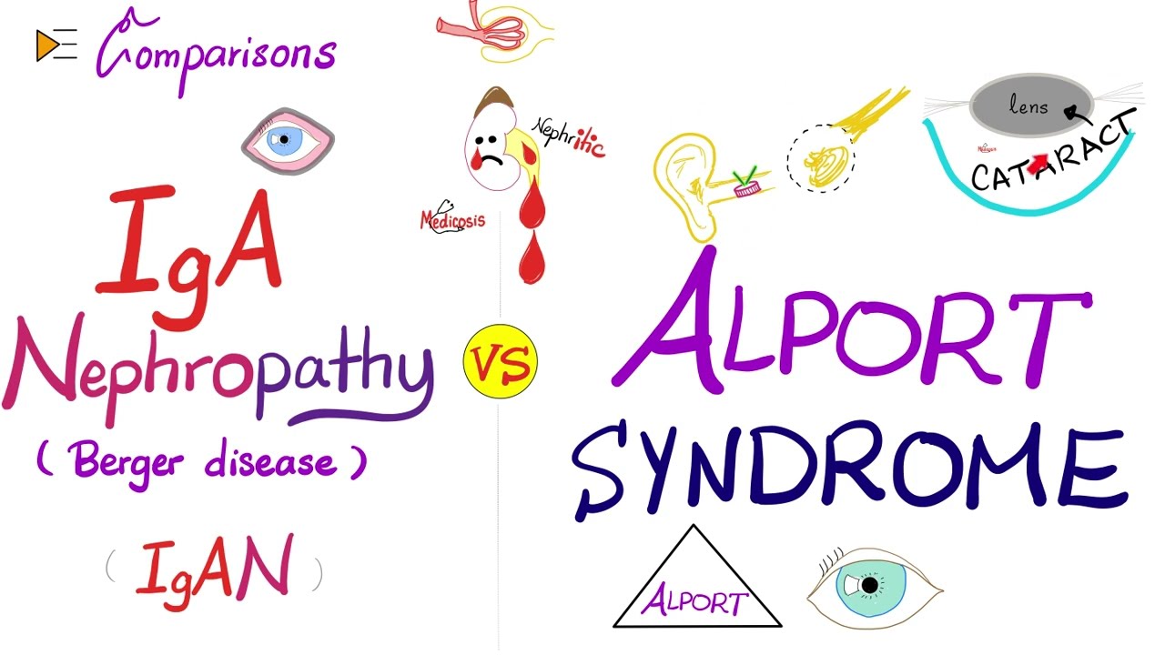 IgA Nephropathy (IgAN) vs Alport Syndrome | Nephrology | 5-minute Review