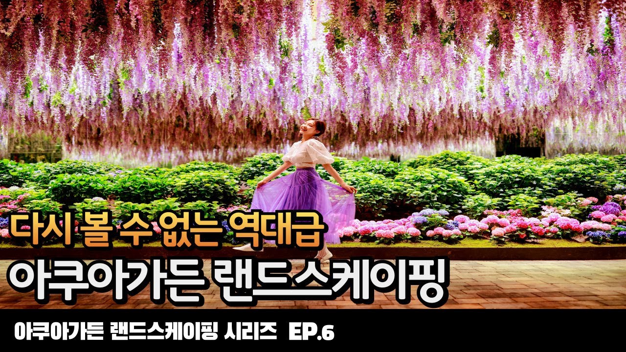 [EP_6]두번 다시 볼 수 없는 역대급 랜드스케이핑#아쿠아가든#아쿠아카페#aquagarden#aquascape#aqua#landscaping#가평베고니아새정원#aquarium