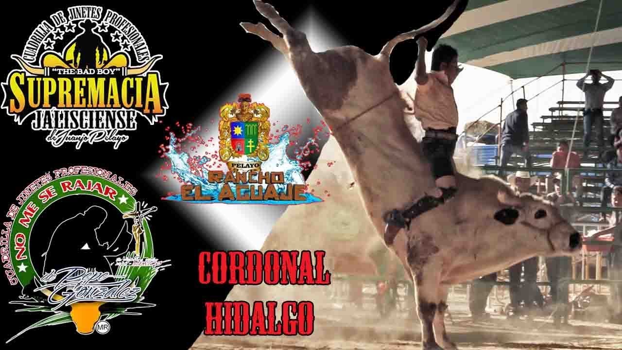 QUEREMOS QUE TRAIGA LO MEJOR  Y MIRA LO QUE LES LLEVO!! Rancho El Aguaje En Sn. Cristobal Cardonal H
