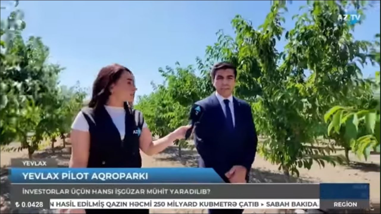 Kiçik və orta fermerlərin cəlb olunması ilə yaradılan ilk dövlət aqroparkı -  Yevlax Pilot Aqroparkı