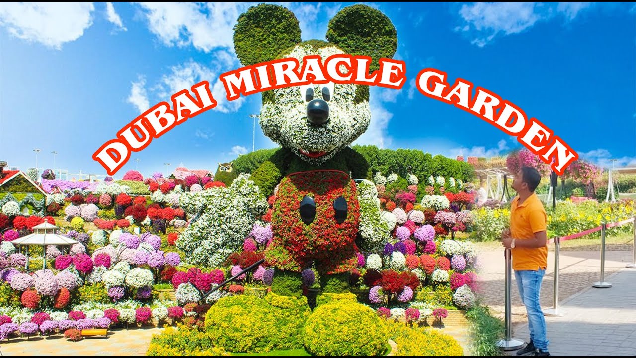 Dubai Miracle Garden in 2021 | Dubai Attractions #miraclegarden