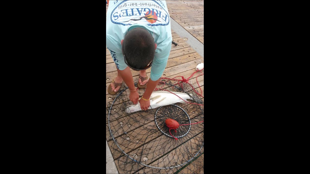 Juno pier snook fishing