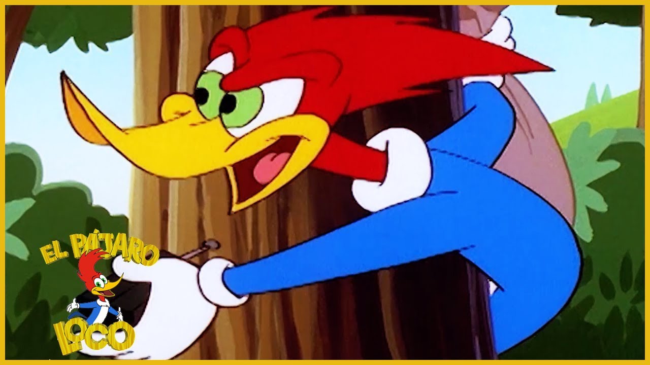 El P&aacute;jaro Loco en Espa&ntilde;ol | Como Ser un Carpintero | Dibujos Animados en Espa&ntilde;ol