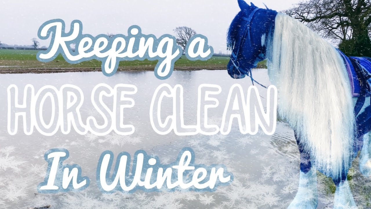 Keeping A Horse Clean | Tips and tricks | Riding Remington