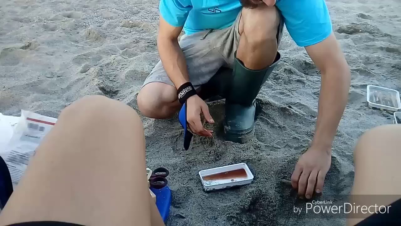 Jornada de Surfcasting en la Linea Cadiz