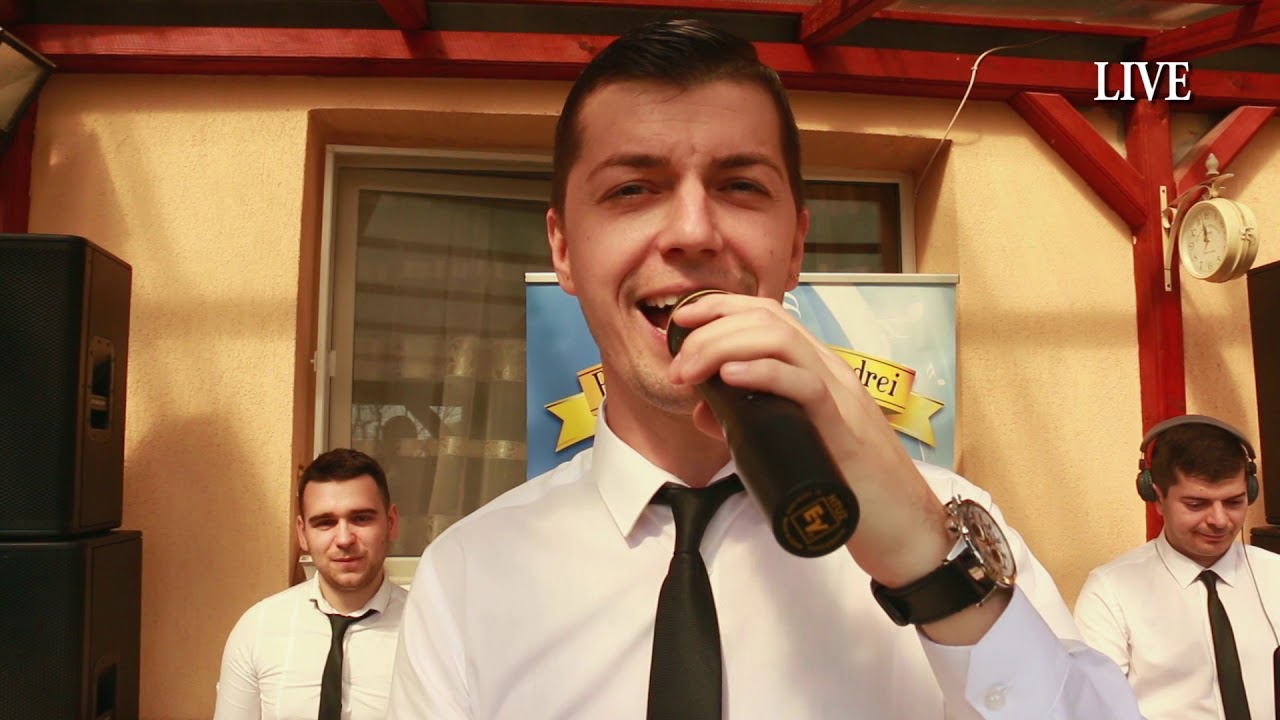Formația Gabriel Andrei - La Mulți Ani !!! LIVE