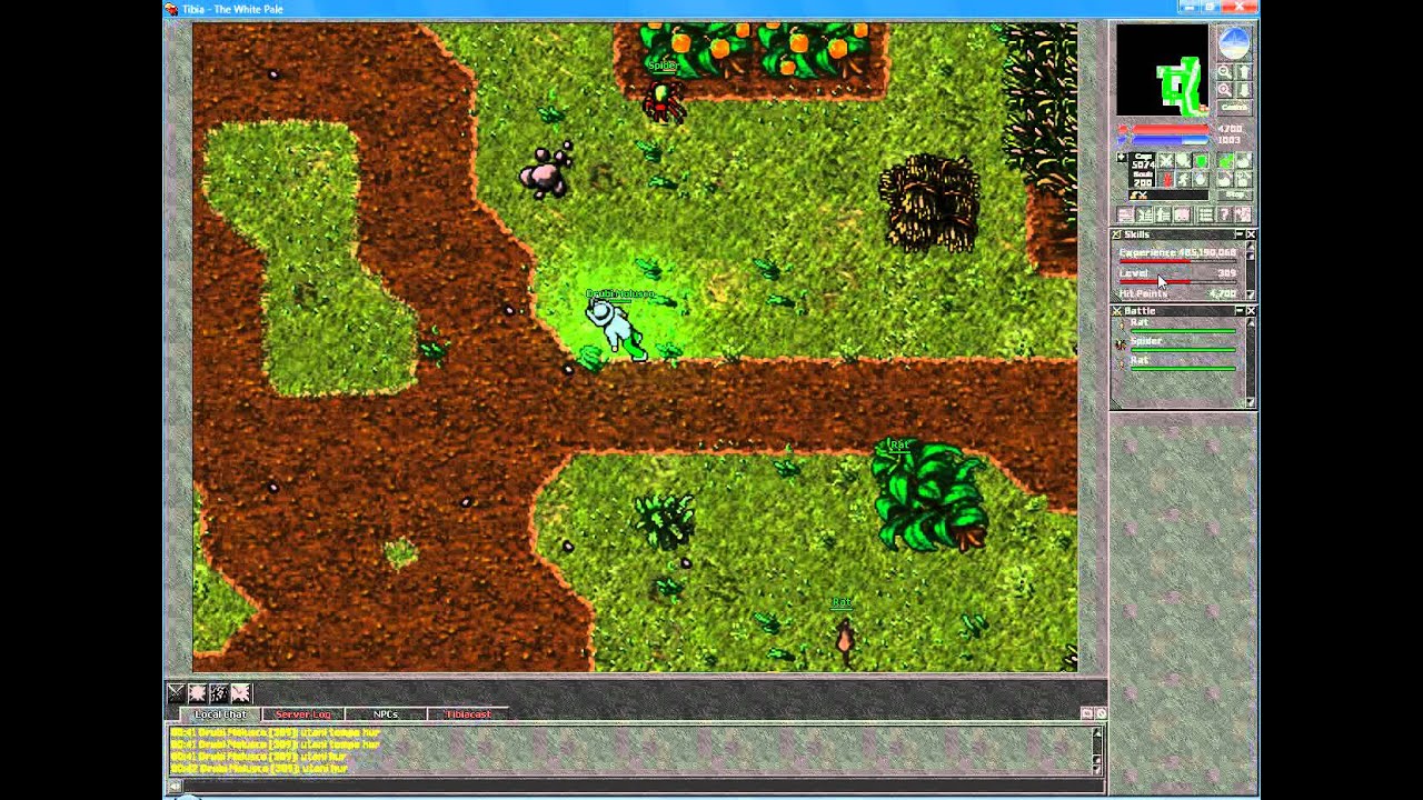 Tibia - Pacera Server - Killing The White Pale (Rotworm Boss)