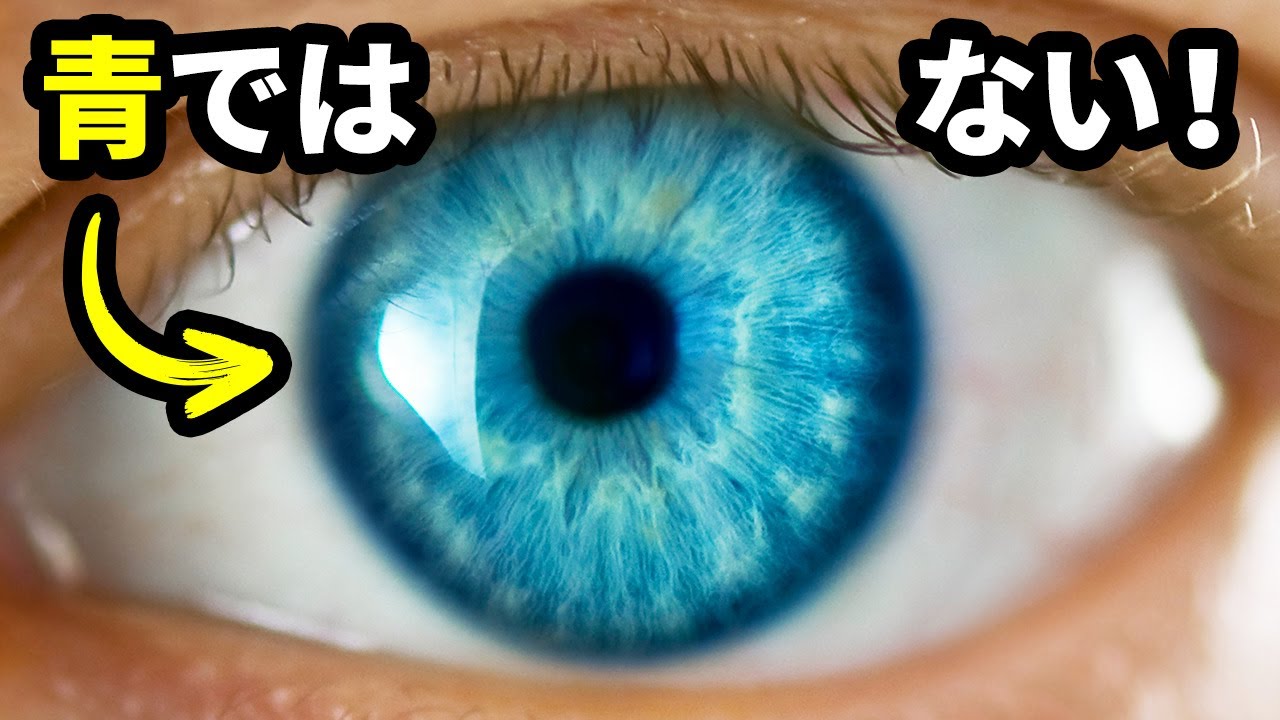 青い目はただの幻想...？