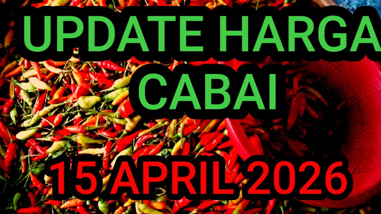 Update harga cabe rawit hari ini,  rabu 15 April 2026 di pasar induk pare kediri jawa timur 