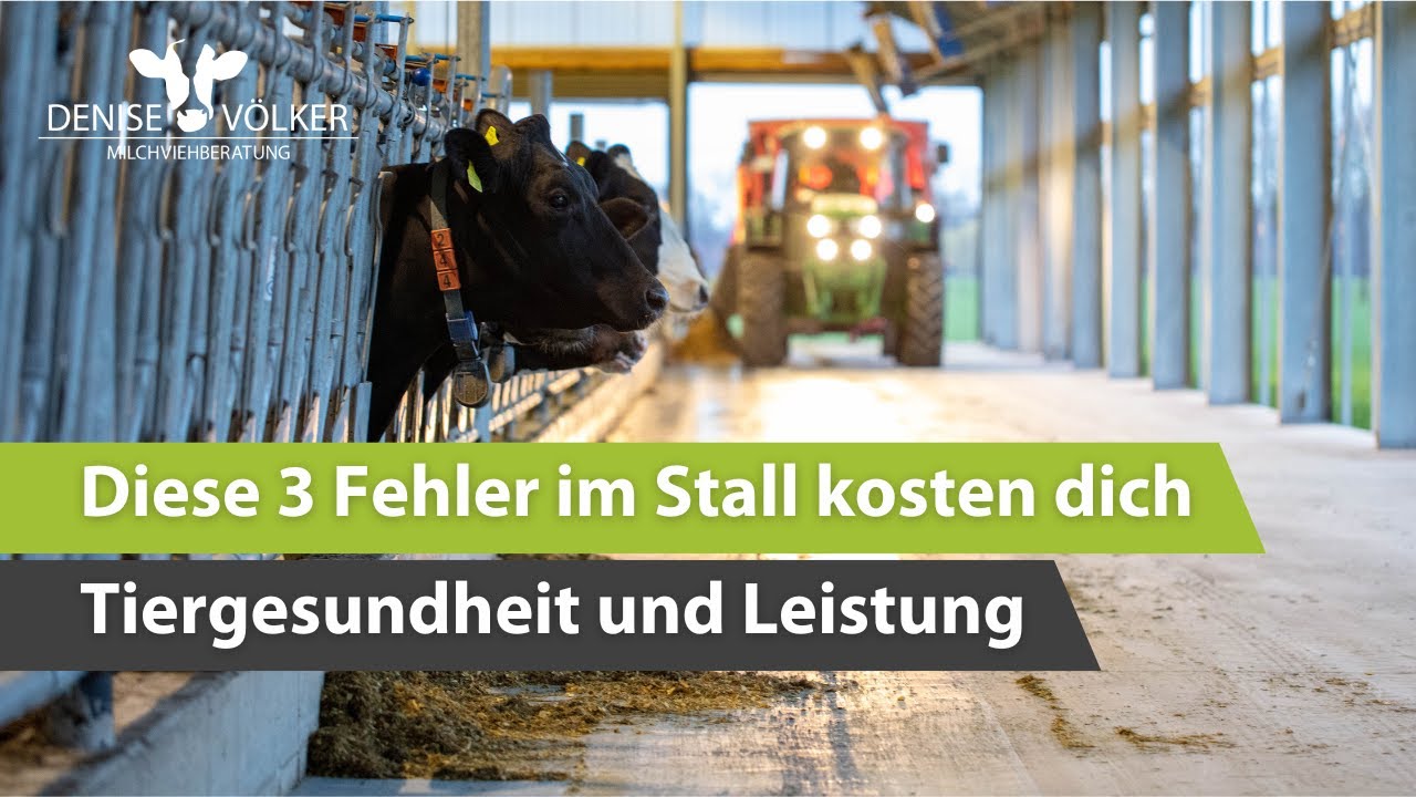 Diese 3 Fehler im Stall kosten dich Tiergesundheit und Leistung