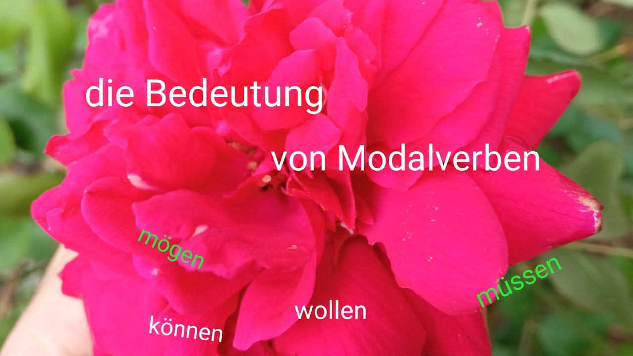 die Bedeutung von Modalverben
