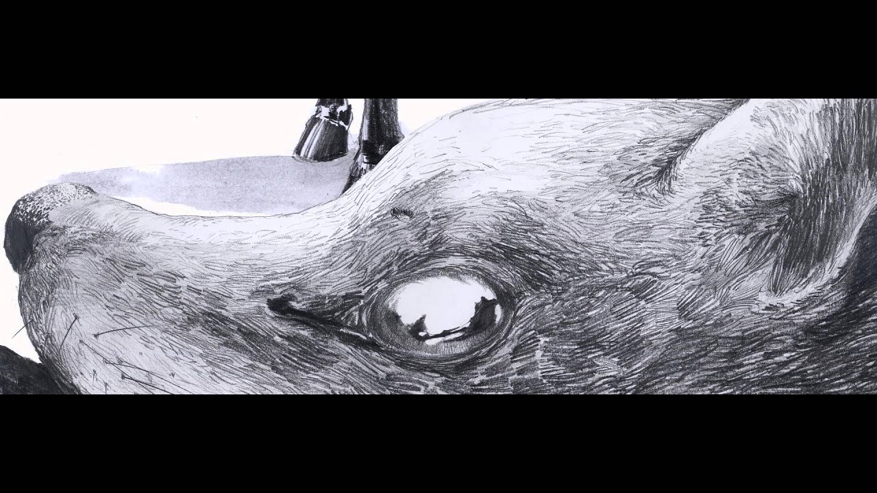 Bankos - Hajsza / prod. by Cadik (official video)