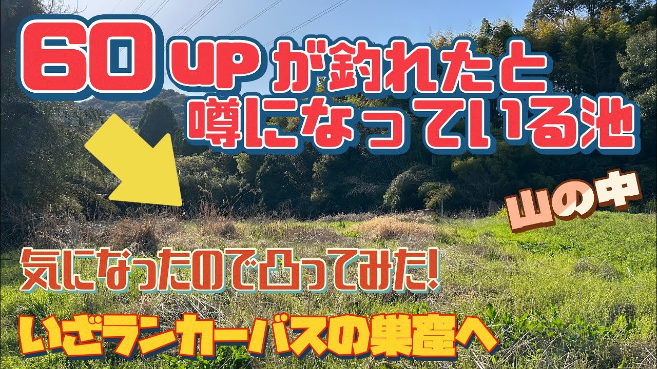 【バス釣り】山の中の小さな野池に凄い噂