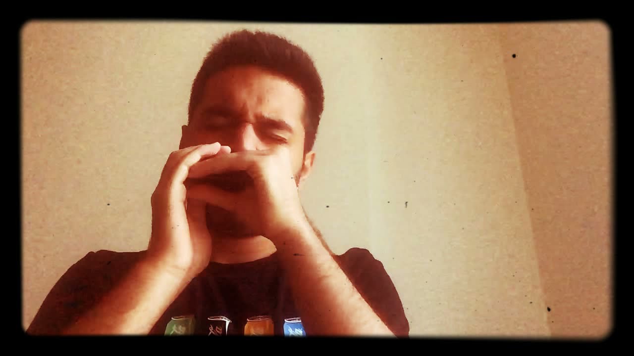 “Hoochie Coochie Man” Harmonica Cover, Blues Harmonica!