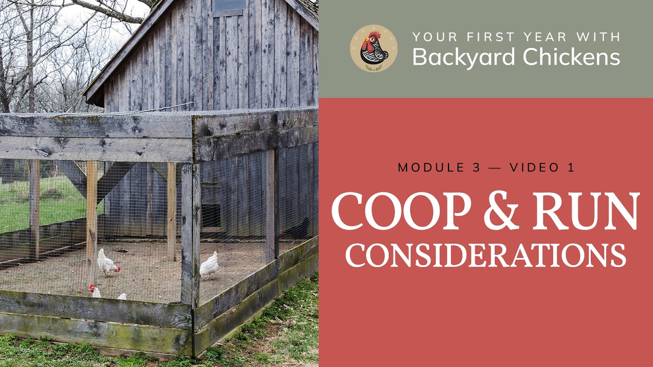 M3 V1 Coop & Run: Main Considerations