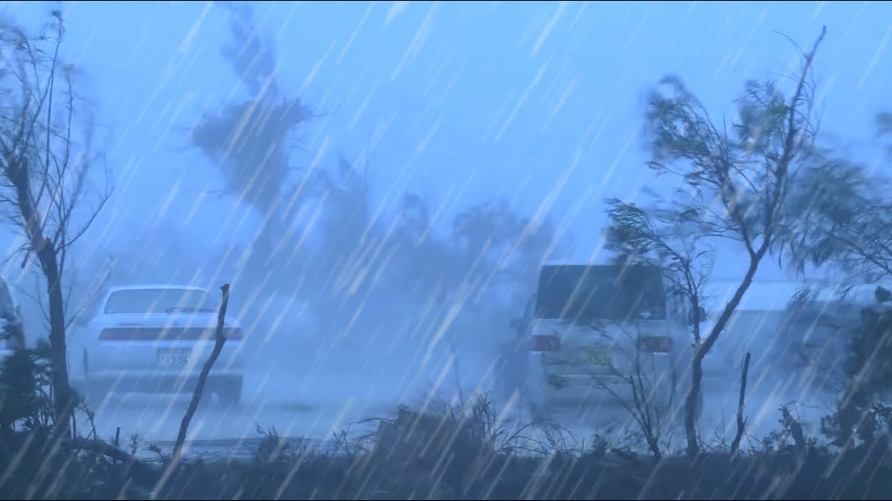 99% of You Will Fall Asleep Instantly with Powerful Hurricane  | Torrential Rain & Howling Wind.