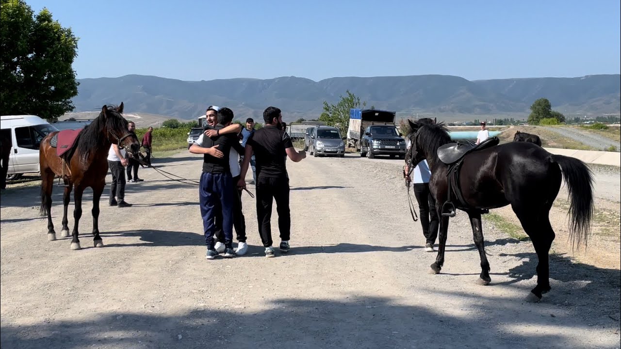 Daylaqlar arası yarış 1600 metr 1 