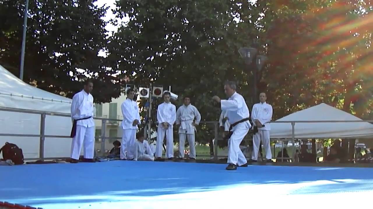 T'ai Chi Tao Fa - Kung Fu Chang