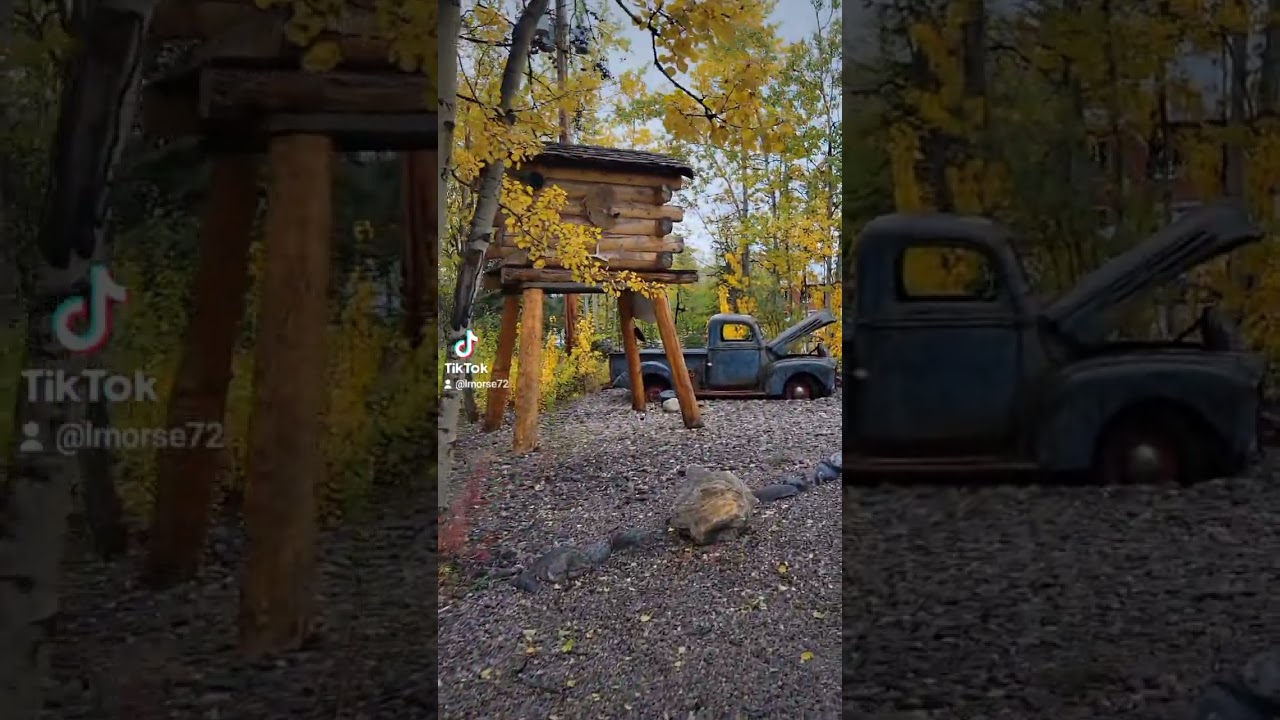 Tour of Denali Park Village 8-31-24. Denali National Park