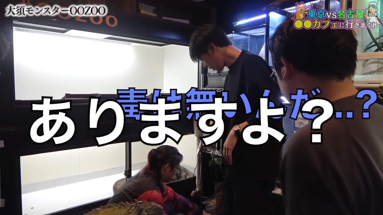 【虫土産の置き眼鏡】個人的ににツボな返し集１９【東海オンエア】