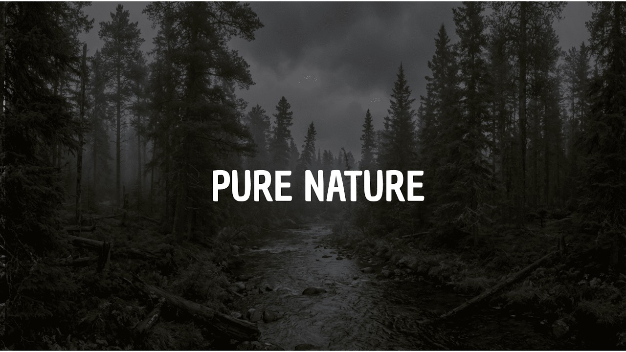 Relaxing River Sounds in Canadian Forest, Nature White Noise for Sleep & Studying | 4K