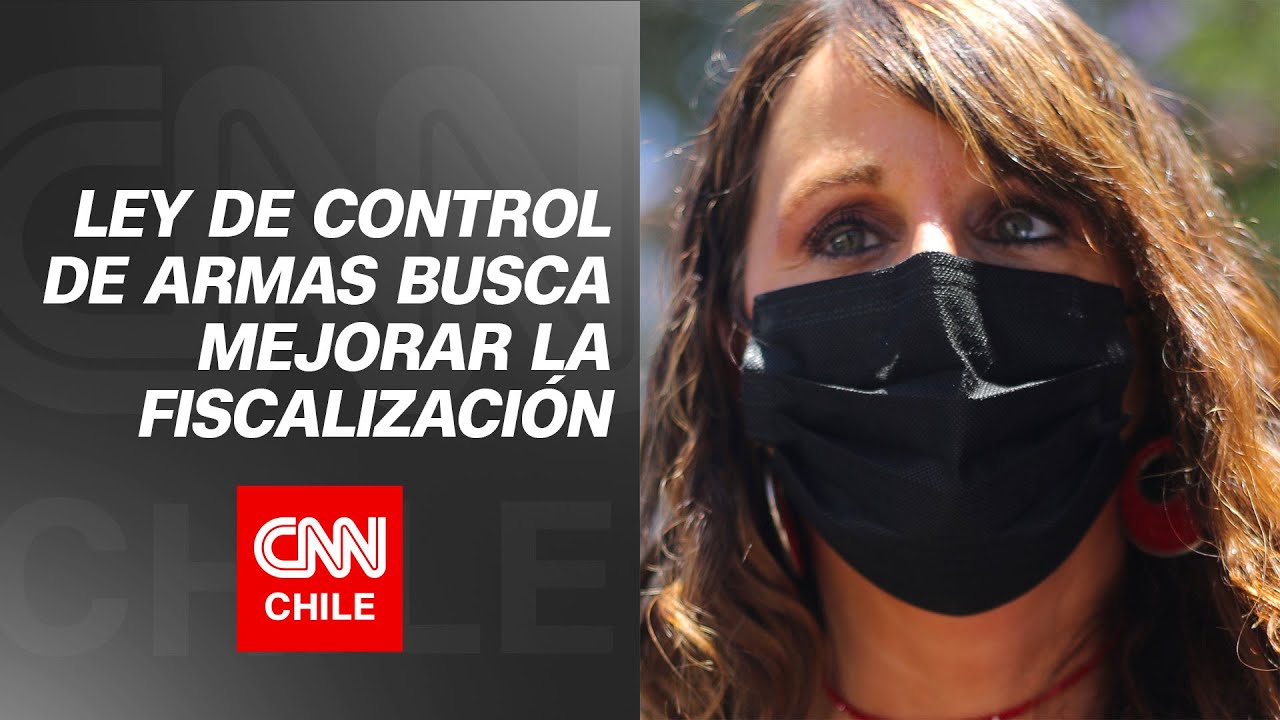 Mar&iacute;a Jos&eacute; G&oacute;mez y Ley de Control de Armas: 