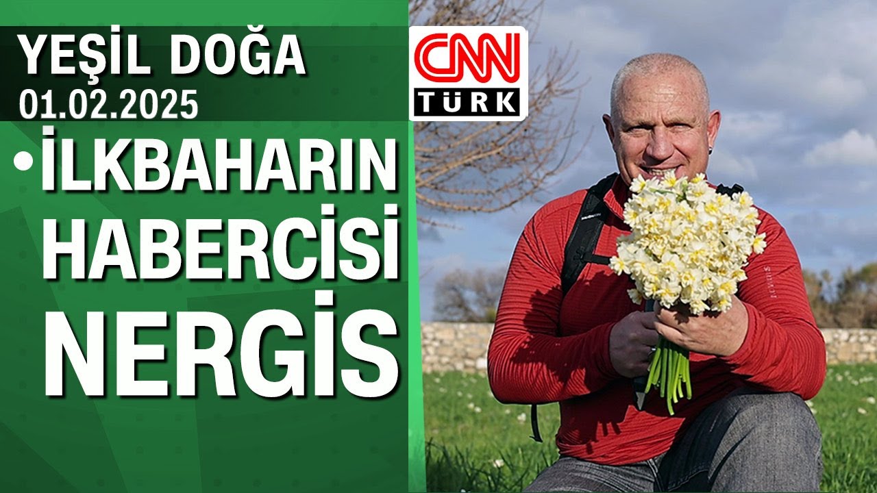 İlkbaharın habercisi nergis hasadının hikayesi - Yeşil Doğa 01.02.2025 Cumartesi