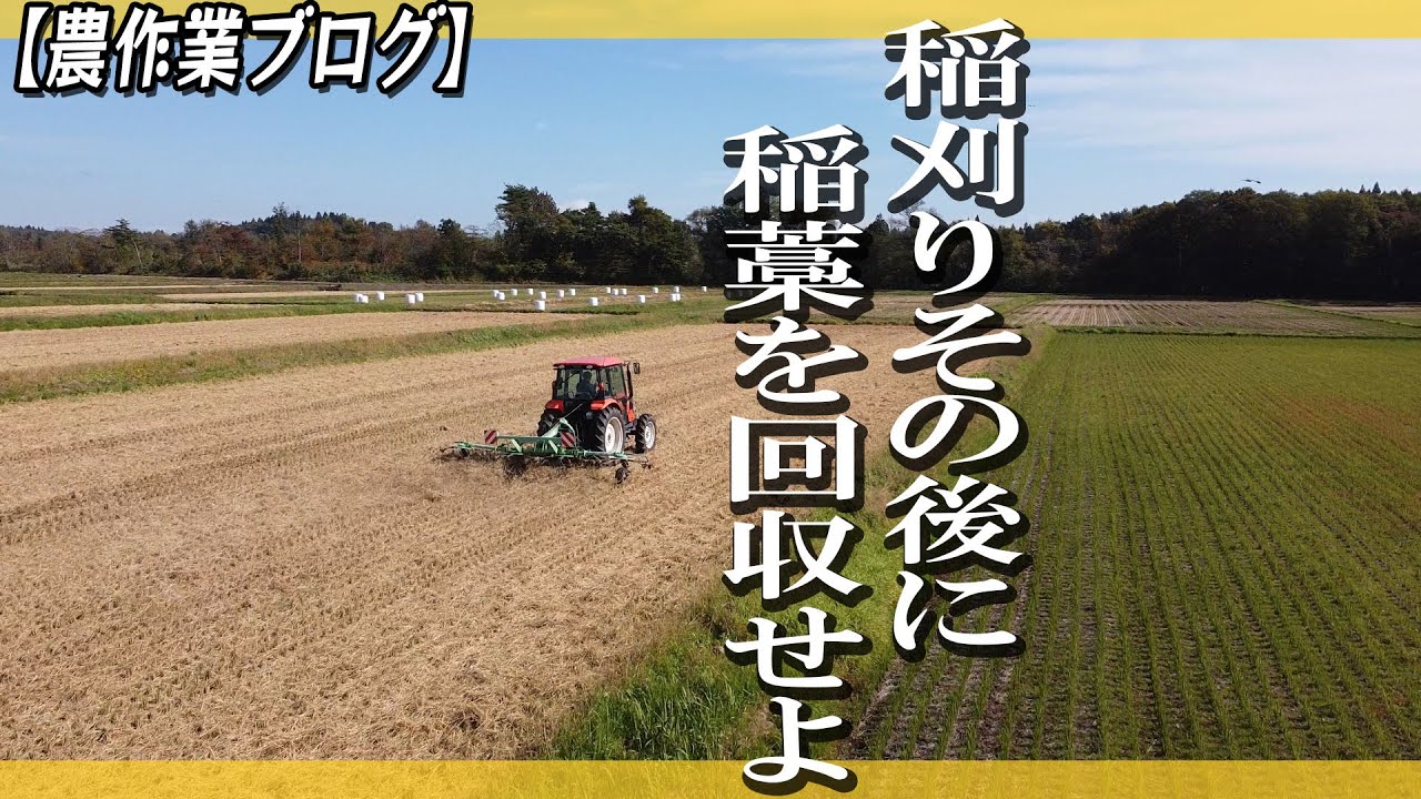 【農作業】稲刈りその後に【動画ブログ】