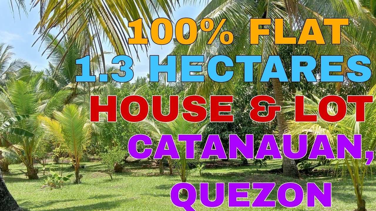 #16A-243 Catanauan, Quezon| 1.3 Hectares| TITLED| Developed