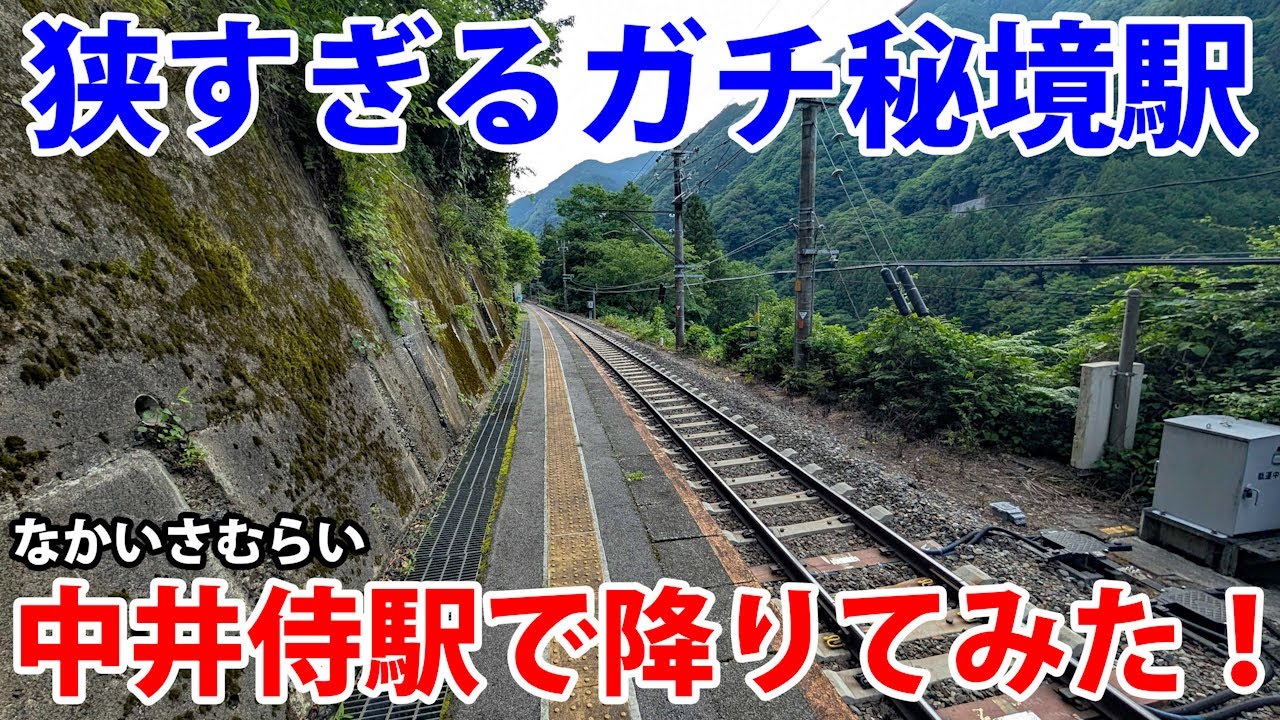 【スーパー秘境駅】飯田線の中井侍駅で降りてみた！