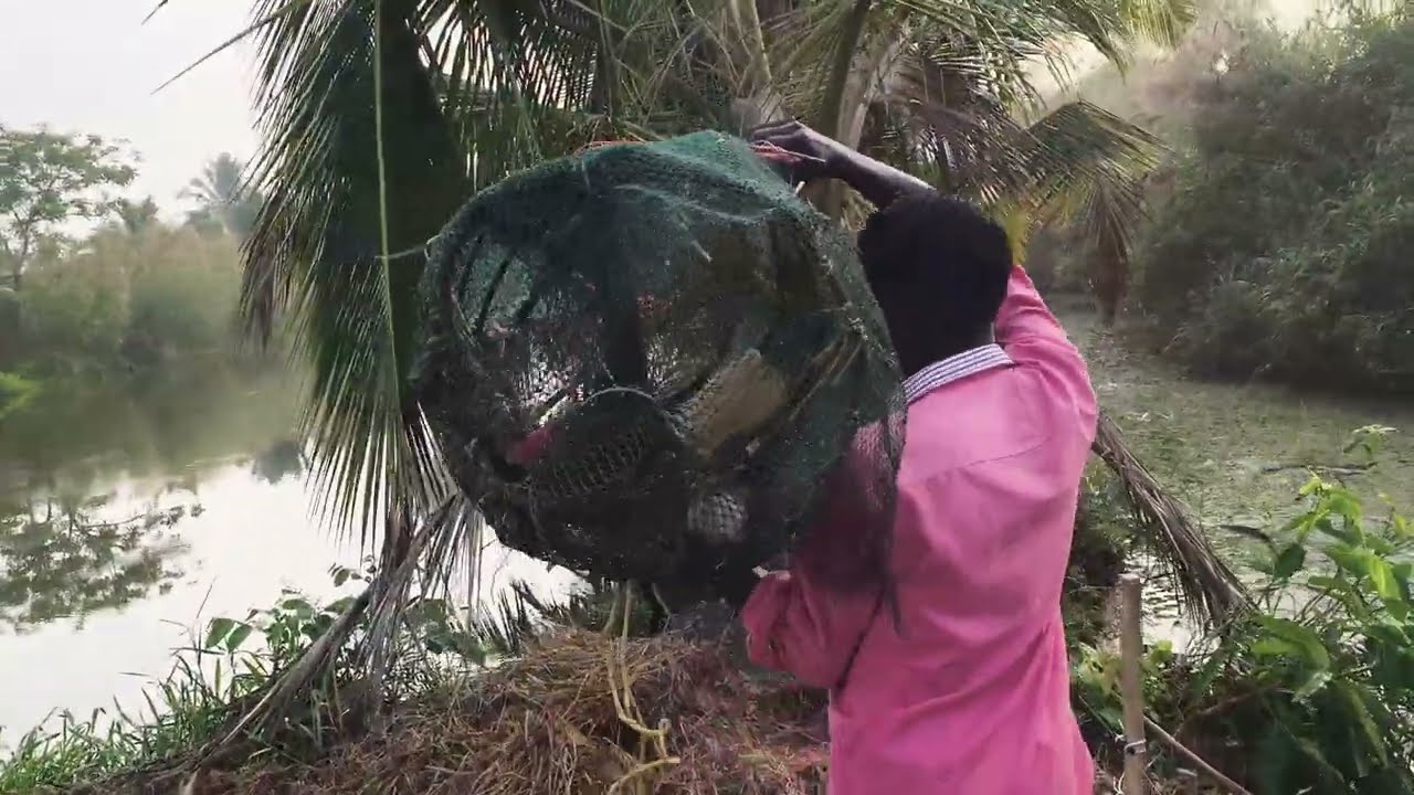 പുതുവർഷത്തിൽ കുട്ടിൽ കിട്ടിയ ചേറു മീൻ