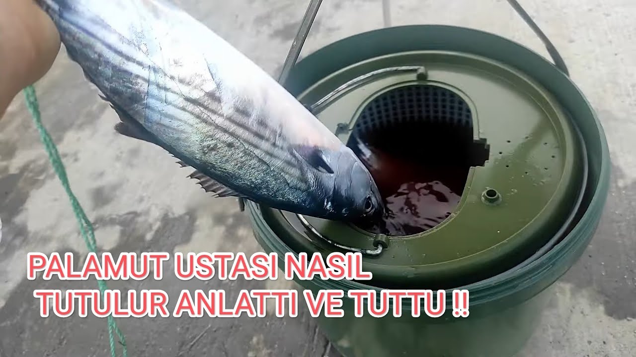 ANLIK PALAMUT AVI !!!  PALAMUT USTASI PÜF NOKTALARINI ANLATIYOR !!!!!!