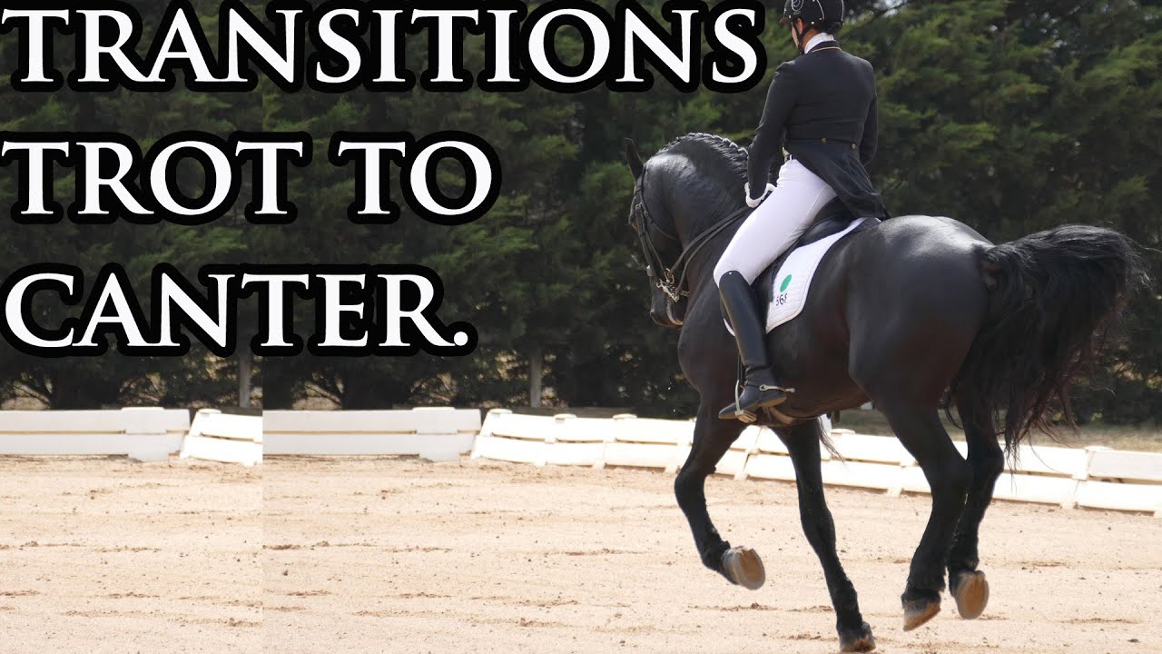 HOW TO DO GOOD TROT TO CANTER TRANSITIONS  - Your Riding Success TV Week 37