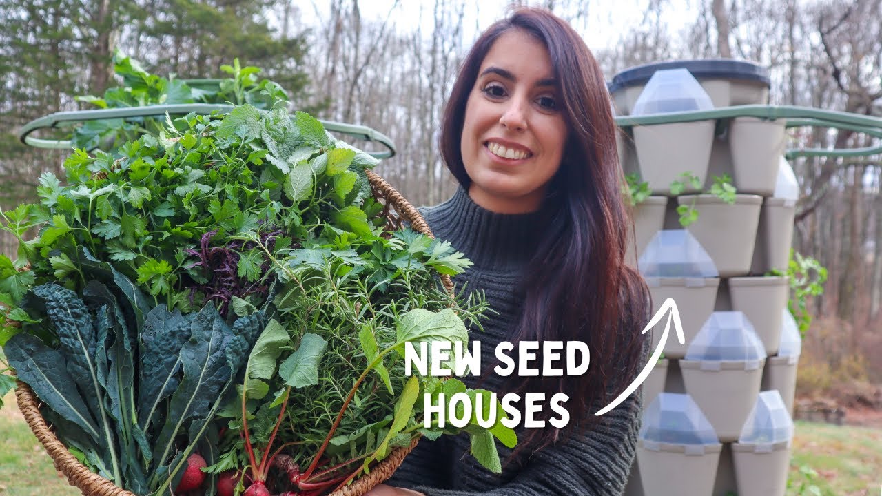 Late November GREENSTALK Harvest + NEW Seed House Sneak Peak!