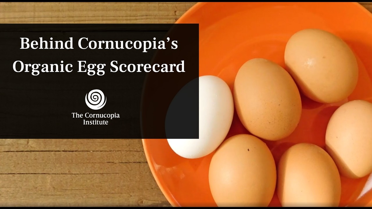 Organic Egg Scorecard Webinar Highlights