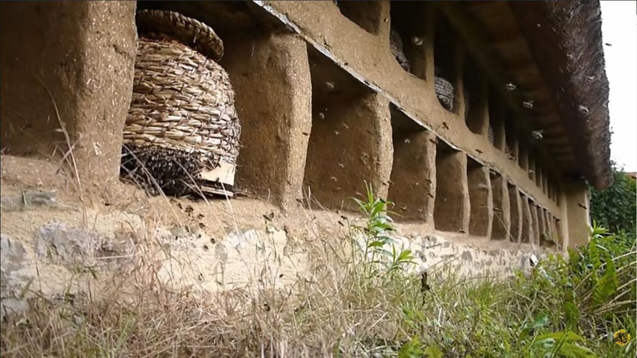 Avec des yeux d'abeilles, le travail de l'association PISTIL dans le bocage Normand, 2026