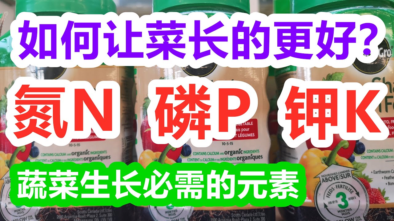 如何恰当的使用氮磷钾NPK肥, 让菜更壮/果实更大🍅🍆,3个数字的含义, 什么时候施肥？
