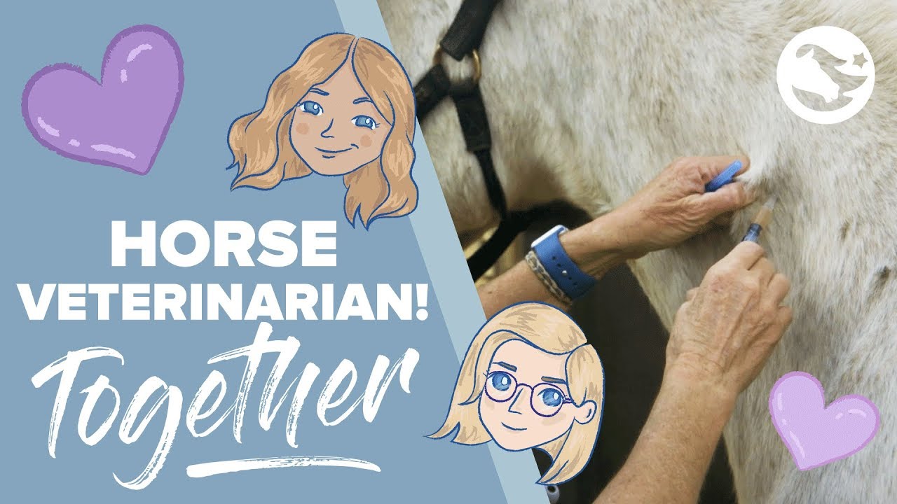 Equine Veterinarian 💕💉🐴 | TOGETHER by Star Stable | Episode 2