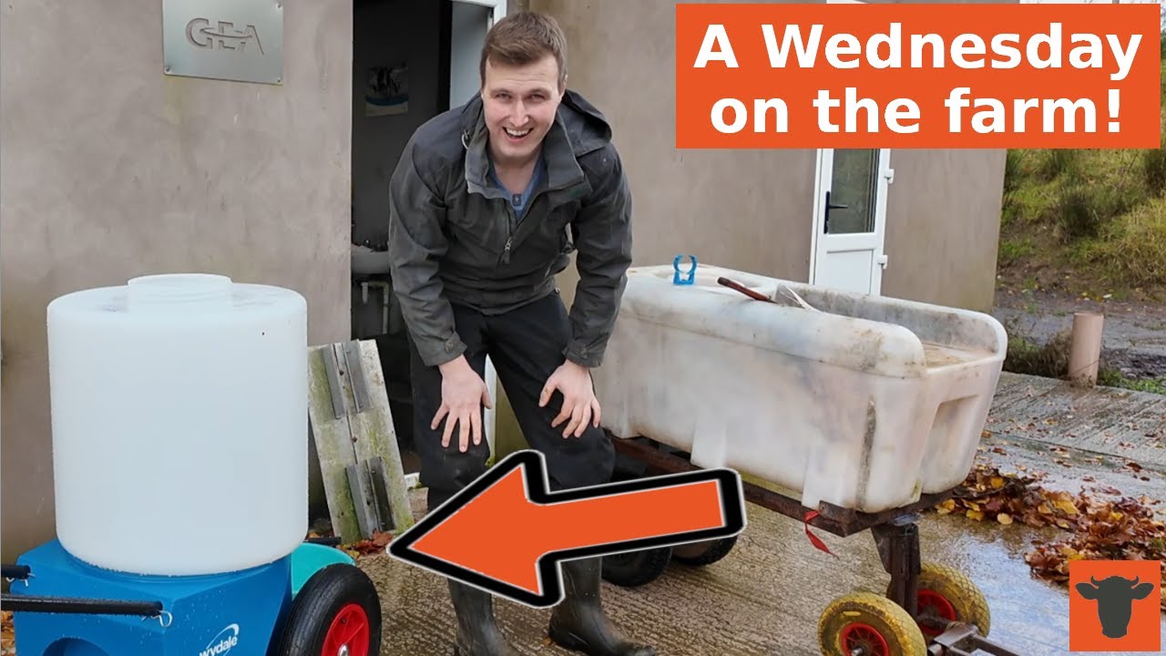 HOW do we manage our CALVES?  |  IS this the quickest way to FEED cows?  |  Milk Kart UPGRADE!