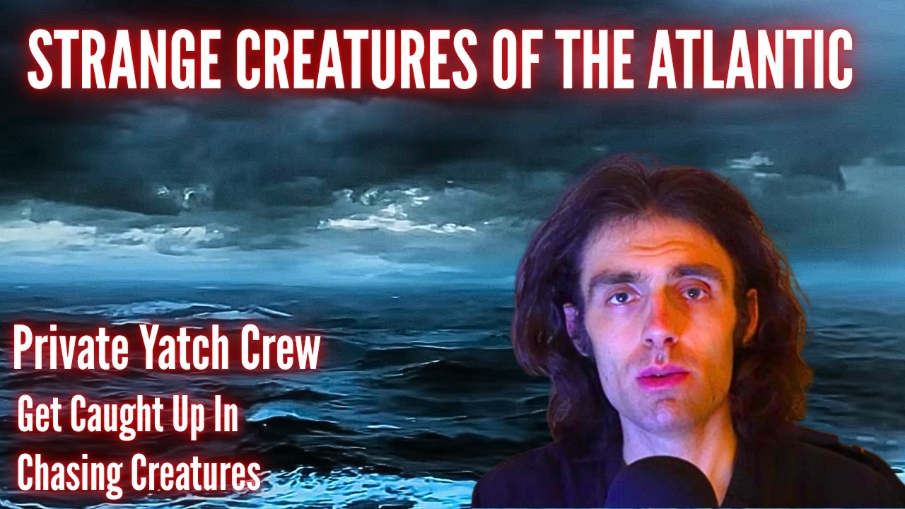 Yacht Crew: Wealthy Client Had Us Chase Strange Creatures Off Atlantic Ocean