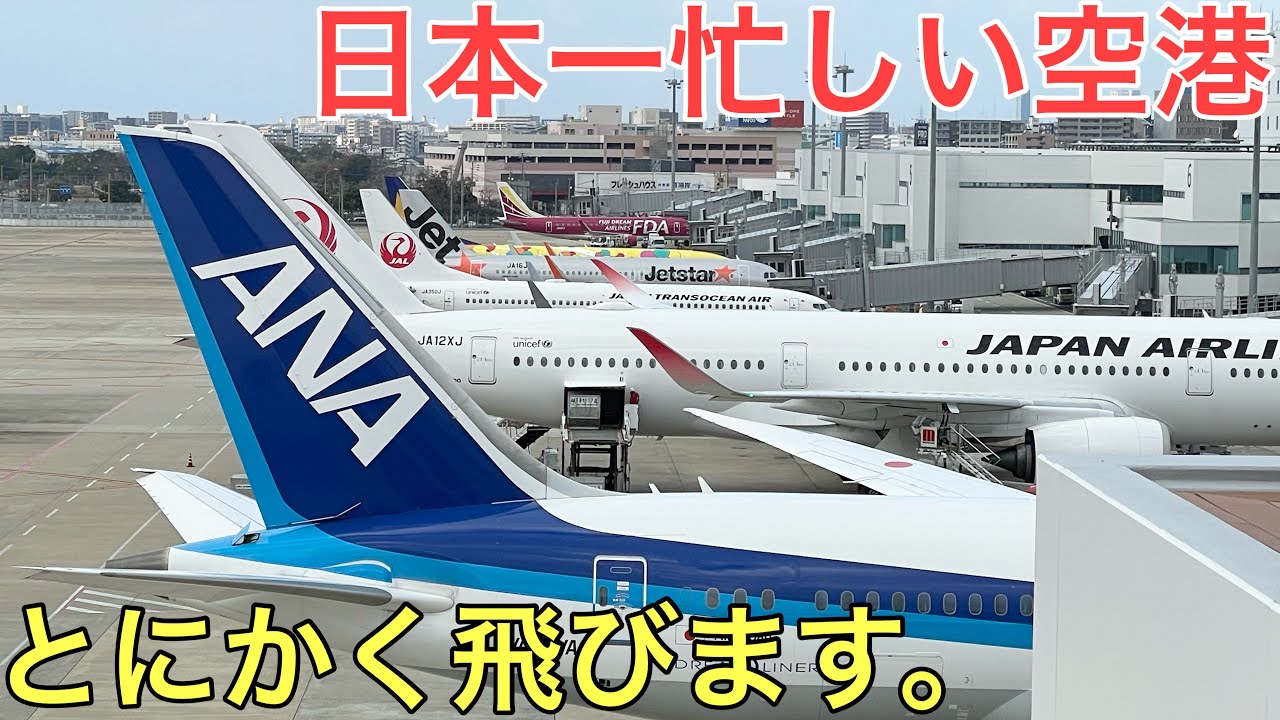 【日本一】忙しい空港に行ってきた